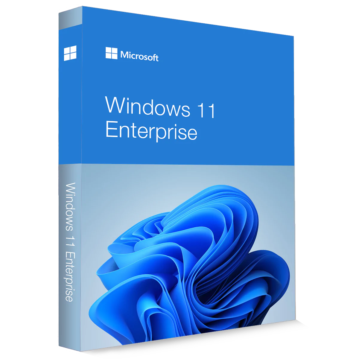 Microsoft Windows 11 Enterprise